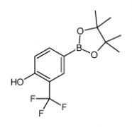 4-Hydroxy-3-trifluoromethylphenylboronic acid pinacol ester