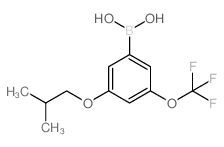 3-Isobutoxy-5-(trifluoromethoxy)phenylboronic acid