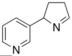 (+/-)-Iso Myosmine, Technical Grade