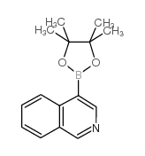 Isoquinoline-4-boronic acid, pinacol ester