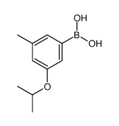 3-Isopropoxy-5-methylphenylboronic acid
