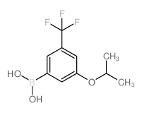 3-Isopropoxy-5-trifluoromethylphenylboronic acid