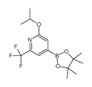 2-Isopropoxy-6-trifluoromethylpyridine-4-boronic acid, pinacol ester