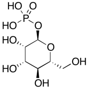 &alpha;-D-Mannose 1-Phosphate