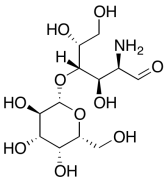 Lactosamine