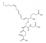 11-trans Leukotriene C4