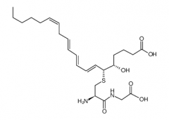 11-trans Leukotriene D4