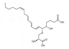 11-trans Leukotriene E4