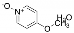 4-Methoxypyridine N-Oxide Hydrate