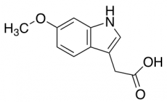 2-(6-Methoxy-1H-indol-3-yl)acetic Acid