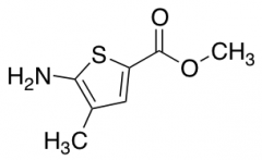 Methyl 5-Amino-4-methylthiophene-2-carboxylate