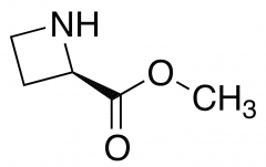 Methyl (R)-2-Azetidinecarboxylate