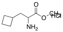 methyl 2-amino-3-cyclobutylpropanoate hydrochloride