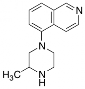 5-(3-methylpiperazin-1-yl)isoquinoline