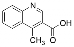4-Methylquinoline-3-carboxylic Acid