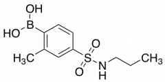 2-Methyl-4-(N-propylsulfamoyl)phenylboronic Acid