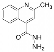 2-methylquinoline-4-carbohydrazide