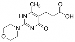 3-[4-Methyl-2-(morpholin-4-yl)-6-oxo-1,6-dihydropyrimidin-5-yl]propanoic Acid
