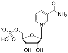 &beta;-Nicotinamide Mononucleotide
