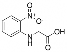 2-[(2-nitrophenyl)amino]acetic Acid