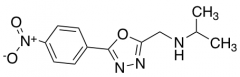 {[5-(4-Nitrophenyl)-1,3,4-oxadiazol-2-yl]methyl}(propan-2-yl)amine