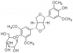 刺五加苷E1對照品