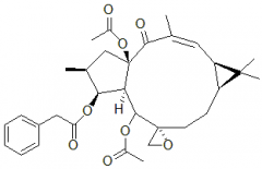 千金子甾醇對照品