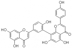穗花杉雙黃酮（阿曼托黃酮）對照品