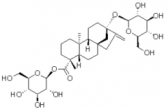 甜茶苷（甜茶素、甜茶甙）