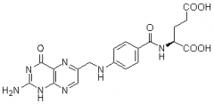 葉酸（蝶酰谷氨酸；N-(4-((2-氨基-4-氧代-1,4-二氫-6-蝶啶)甲氨基)苯甲?；? title=