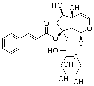 6'-O-肉桂?；蛙諏φ掌? title=