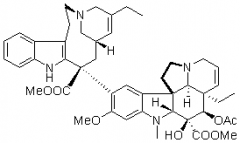 脫水長春堿對照品