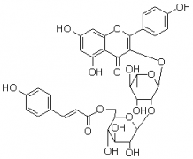 3-O-{2-O-[6-O-(對(duì)羥基-反-香豆酰)-葡萄糖基]-(1-2)鼠李糖基}山奈酚對(duì)照品