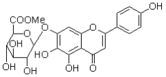 燈盞花乙素甲酯（野黃芩苷甲酯）對照品