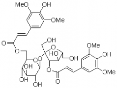 3,6′-二芥子?；崽菍φ掌? title=
