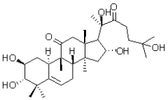 雪膽素乙（雪膽乙素）對(duì)照品