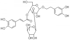 類葉升麻苷（麥角甾苷；毛蕊花糖苷）對照品