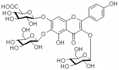 6-羥基山奈酚-3,6-O-二葡萄糖-7-O-葡萄糖醛酸苷對(duì)照品