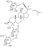 人參皂苷Rd對(duì)照品