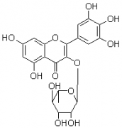 楊梅苷（楊梅甙;五羥基黃酮-3-鼠李糖苷）對(duì)照品